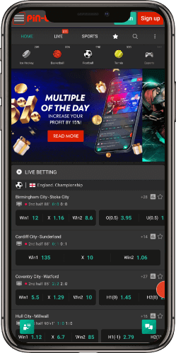 pin-up bet app